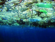 Plastic debris floating on the surface of the water.