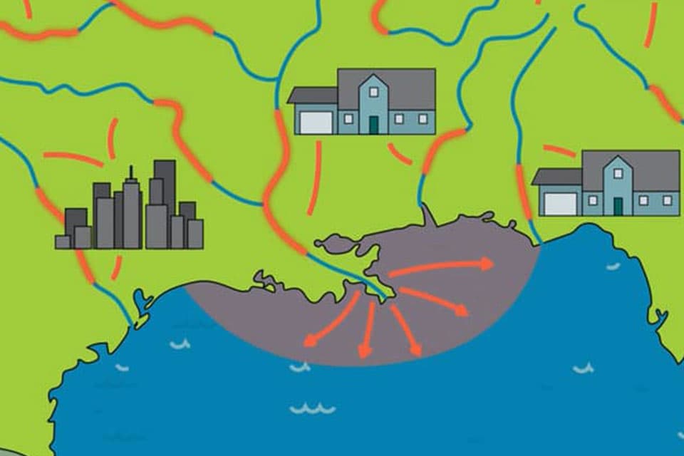 animation showing nutrients flowing from rivers into Gulf of Mexico