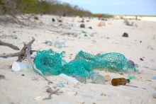 A trail of debris on a sandy beach.