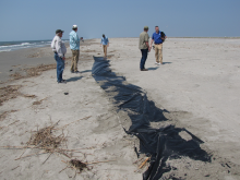 People in a beach looking at a large black line in the sand.