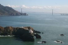 A wide shot view of the bay with a bridge in the background. 