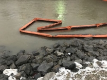 Oiled pollution boom in water.