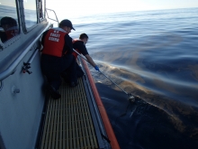 Two men lean over the edge of the boat to grab a sample of the sheen. 