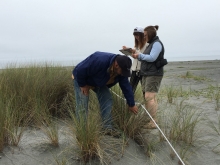 People monitoring a beach.