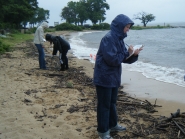 Shoreline Monitoring.