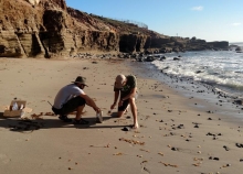 Two people collect sand on a beach. 