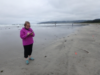 NOAA MDP&#039;s Research Coordinator counting debris on a beach.