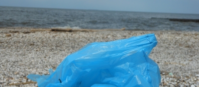 Plastic bag on Lake Erie shoreline. 
