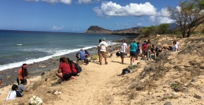 Community volunteers cleaning up a beach.
