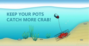 An illustrated image of a crab in a crab pot with the words "keep your pots, catch more crab!".