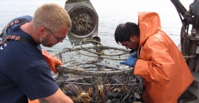 Two people handle a derelict crab pot on a boat.