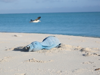 A toy motorcycle washed up on the sandy shores of North Beach, Sand Island, Midway Atoll. 