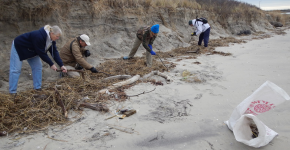 Volunteers inspect a beach for marine debris. 