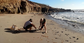 Two people sampling on a beach.