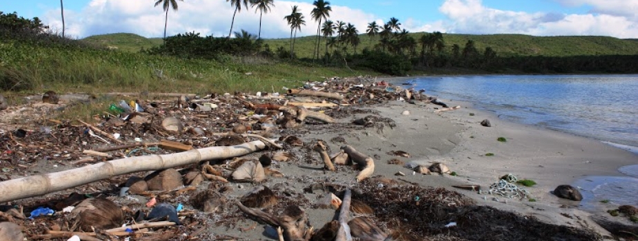 Marine debris stranded on Ballenas Beach