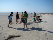 Kids on the beach are picking up debris.