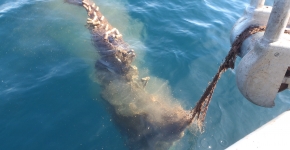 A ghost net is pulled onto a boat in Lake Superior. 