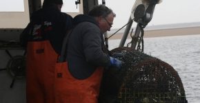 Lobstermen pulling a derelict trap out of the water.