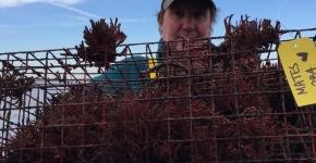 A fisherman holding a derelict crab pot.