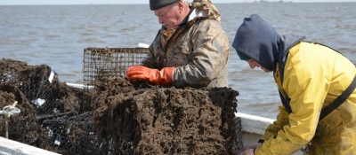 Fishermen remove crab traps from the water in New Jersey. 