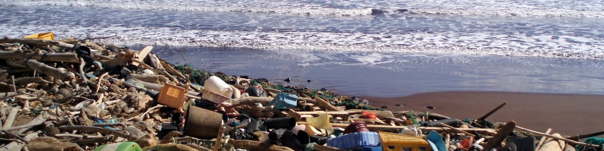 Marine debris litters the Kanapou Coast. 