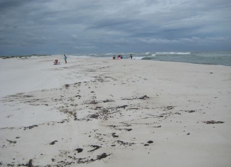 Tarballs on a beach. 