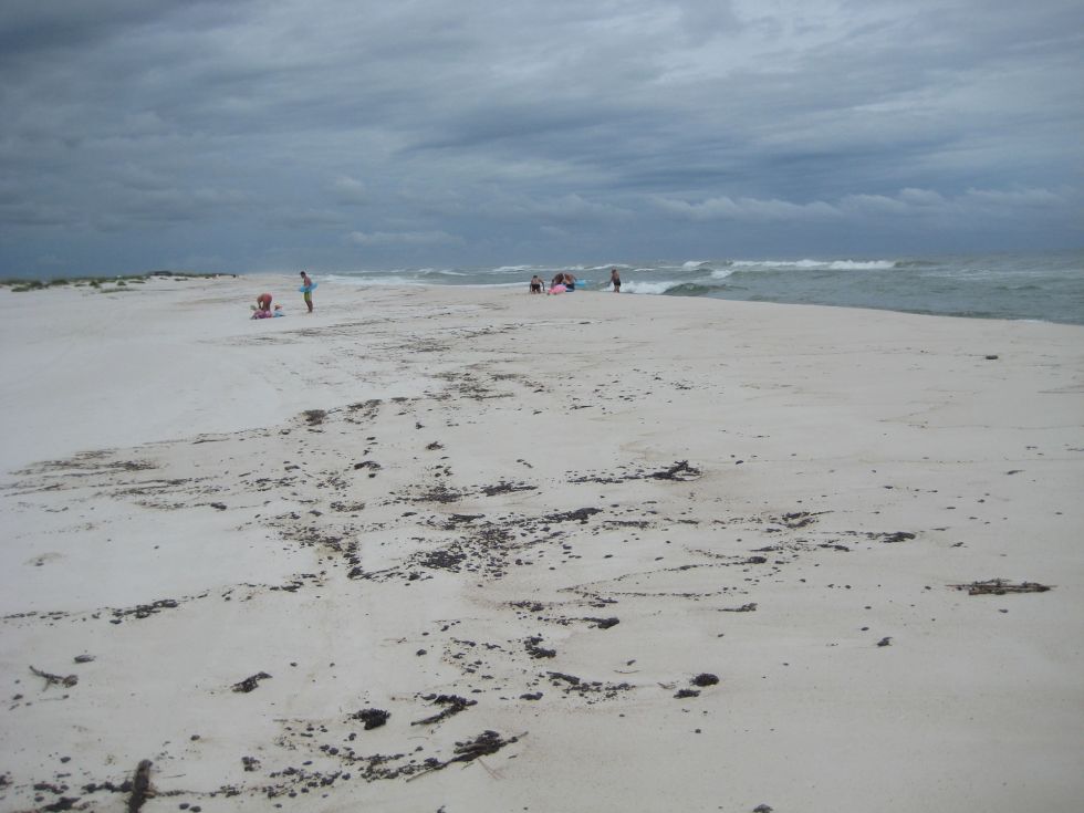 Tarballs on a beach. 