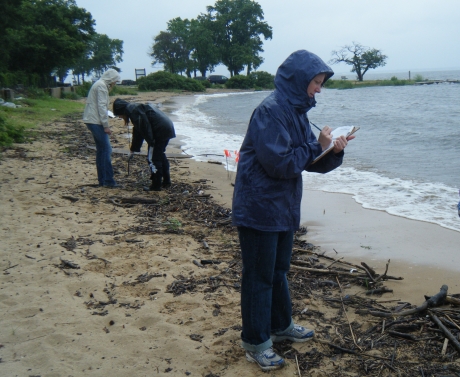 Shoreline Monitoring.