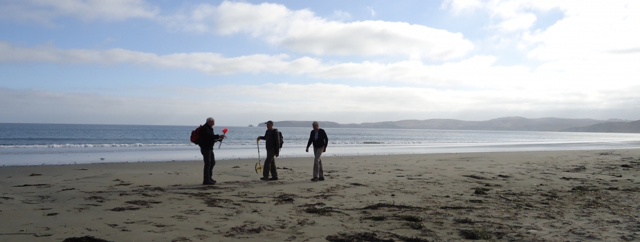 Three people surveying a beach for marine debris.