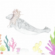 Art contest winner for 2014 shows a seal with a net around its neck