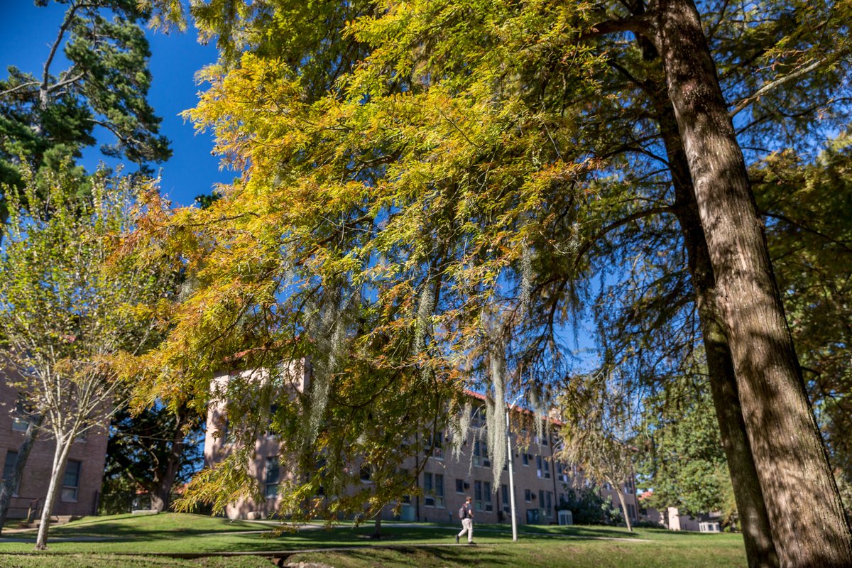 A student on the sidewalk right outside the Enchanted Forest on campus.