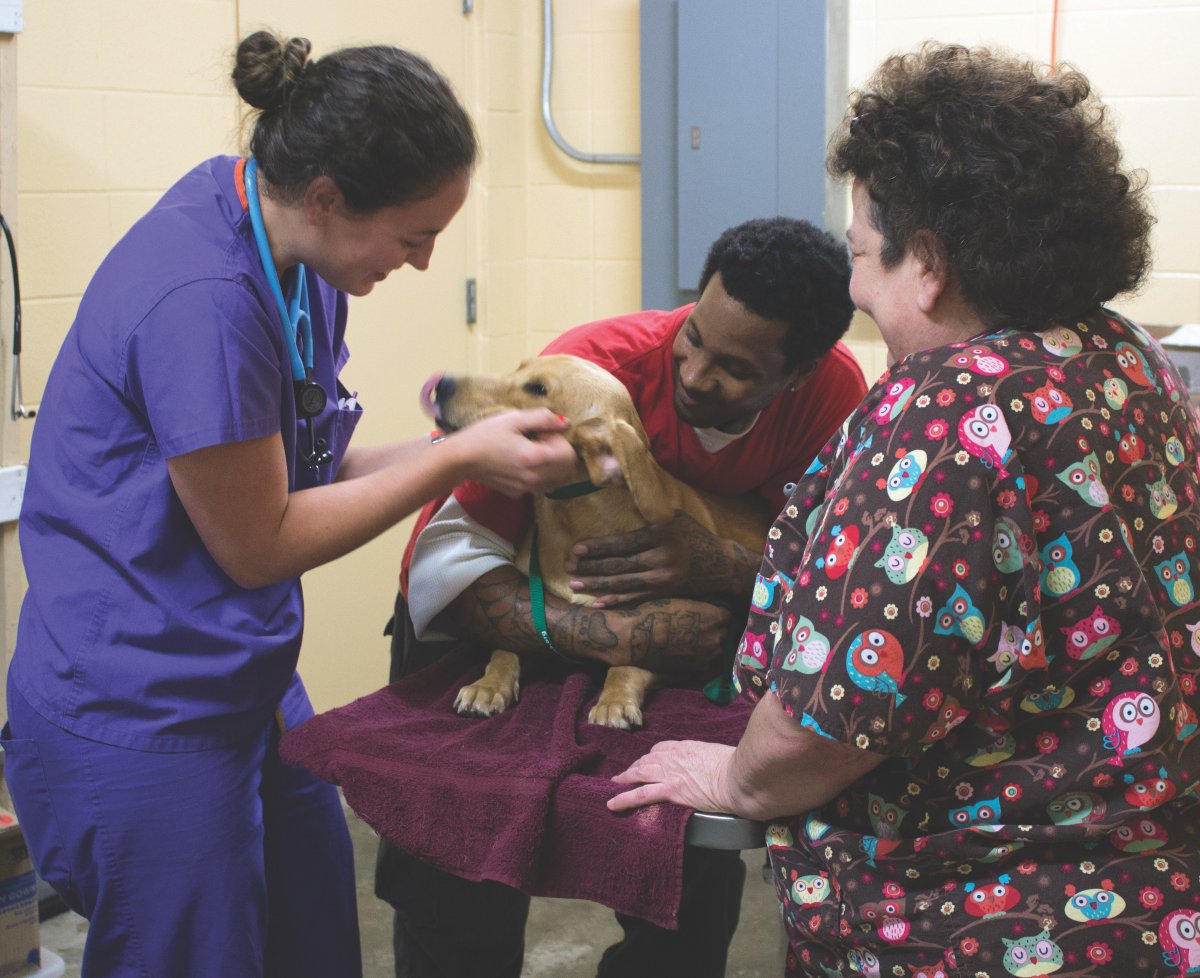 LSU Vet School students love on and pet a dog inside the school.