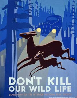 Don't kill our wild life