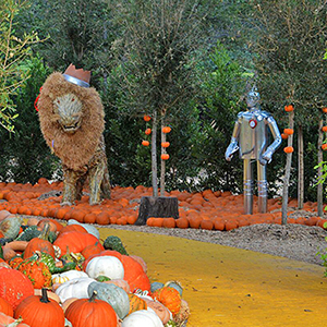 Dallas Arboretum Fall Festival photo