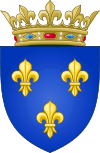 Arms of the Kingdom of France (Moderne).svg