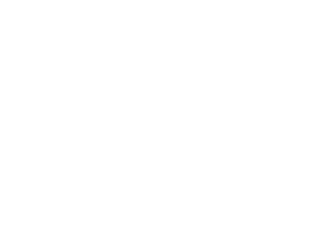 UNT Division of Student Affairs Orientation And Transition Programs