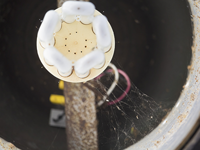 spider web on light fixture