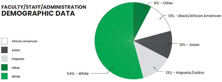 Demographic Data - Faculty/Staff