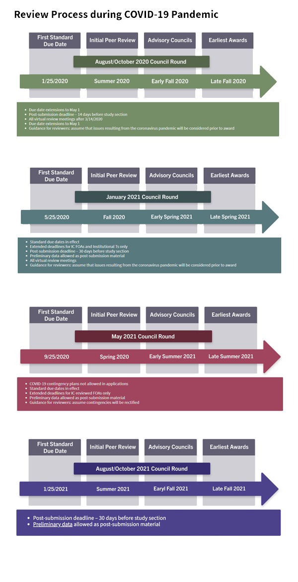 Review Process during COVID-19 Pandemic graphic thumbnail linking to the process page