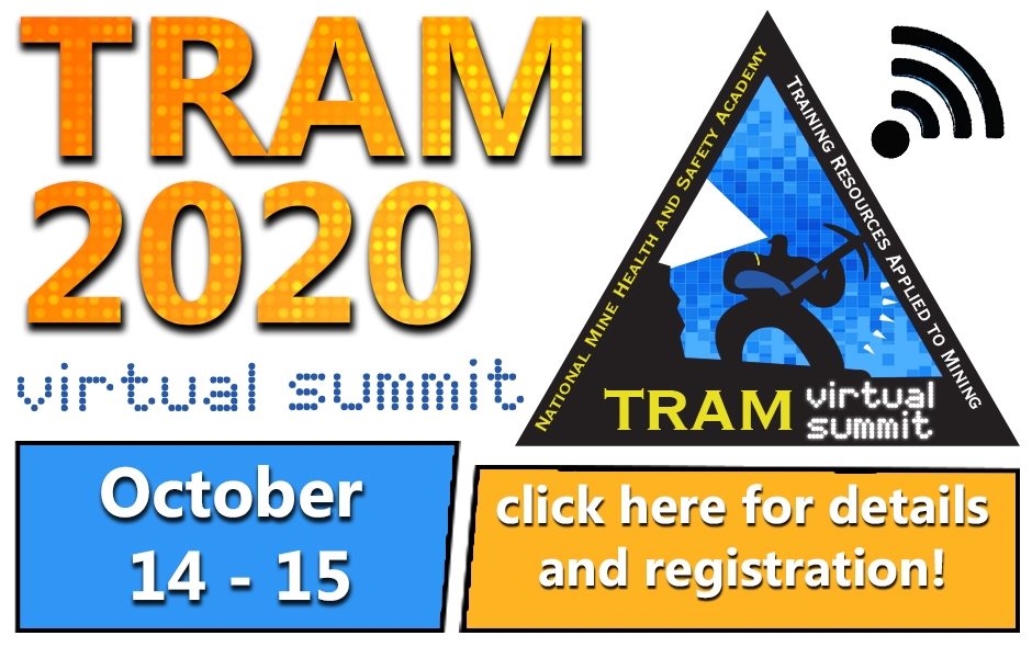 2020 virtual summit 