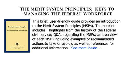 MSPs: Keys to managing the federal workforce