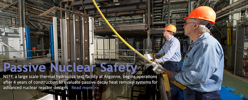 Passive Safety for Nuclear at Argonne