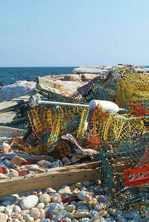 Traps and debris on a beach.
