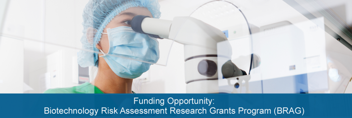 Funding Opportunity: Biotechnology Risk Assessment Research Grants Program (BRAG).  Image of scientist with mask looking through microscope; courtesy of Getty Images.  Links to Funding Opportunity.