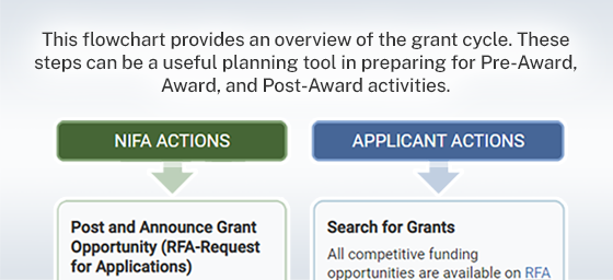 Illustration of competitive grants flowchart. Links to Competitive Grants flowchart page.