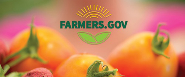 farmers.gov site logo overlaid on image of tomatoes