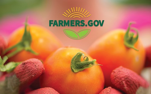 For farmer stories and "news you can use," visit the blog on Farmers.gov, USDA's new website built by farmers, for farmers.