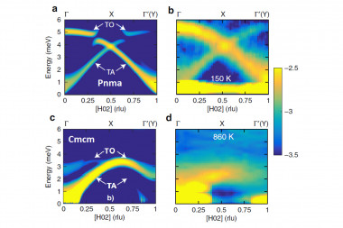 Extended Anharmonic Collapse of Phonon Dispersions in SnS