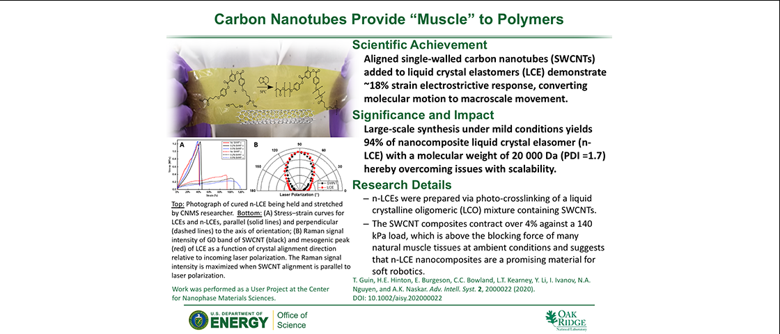 Carbon Nanotubes Provide "Muscle" to Polymers