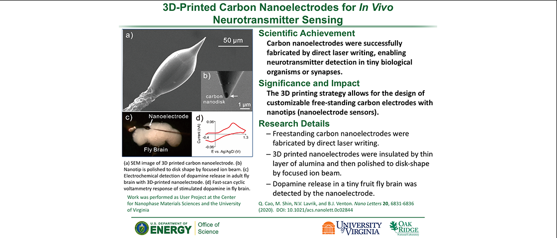 3D-Printed Carbon Nanoelectrodes for In Vivo Neurotransmitter Sensing